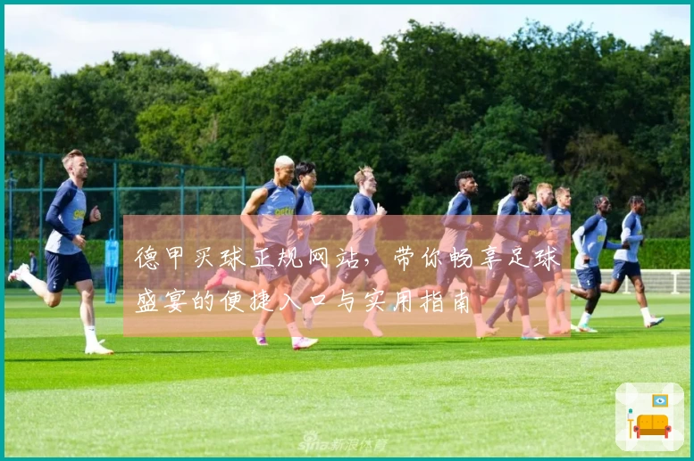 德甲买球正规网站，带你畅享足球盛宴的便捷入口与实用指南