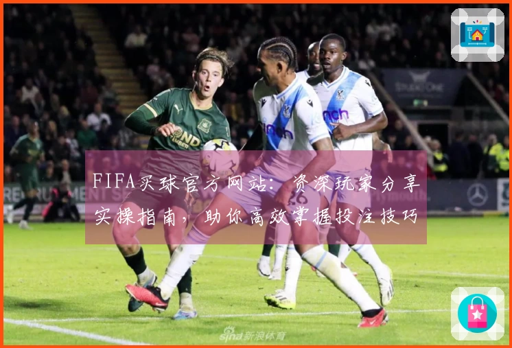 FIFA买球官方网站：资深玩家分享实操指南，助你高效掌握投注技巧