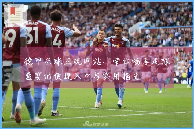 德甲买球正规网站，带你畅享足球盛宴的便捷入口与实用指南