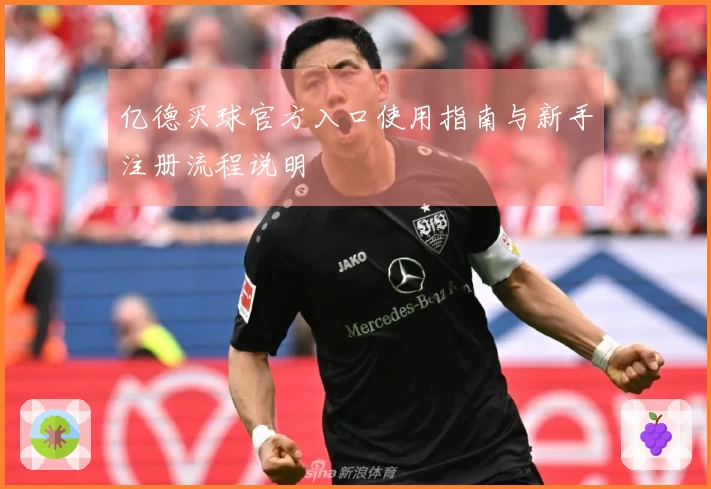 亿德买球官方入口使用指南与新手注册流程说明